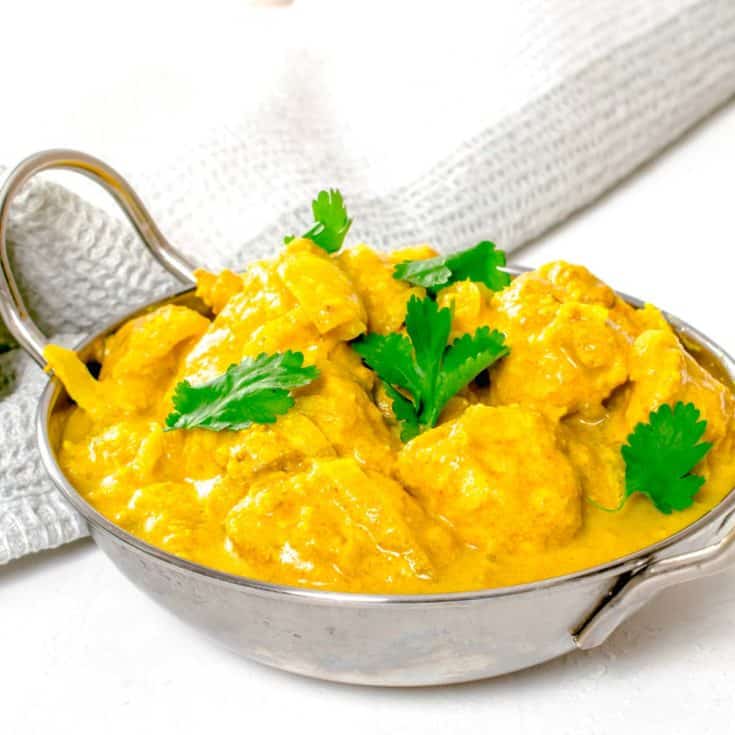 Actifry Chicken Korma Curry | Hint Of Helen-19