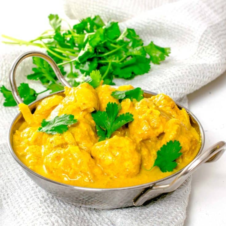 Actifry Chicken Korma Curry Recipe | Hint Of Helen