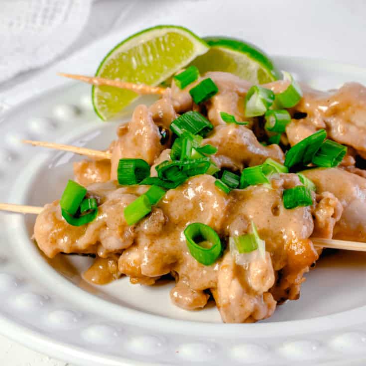 Actifry Chicken Satay Skewers