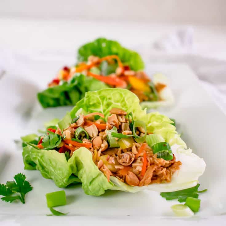 Slow Cooker Satay Chicken Lettuce Cups Hint Of Helen