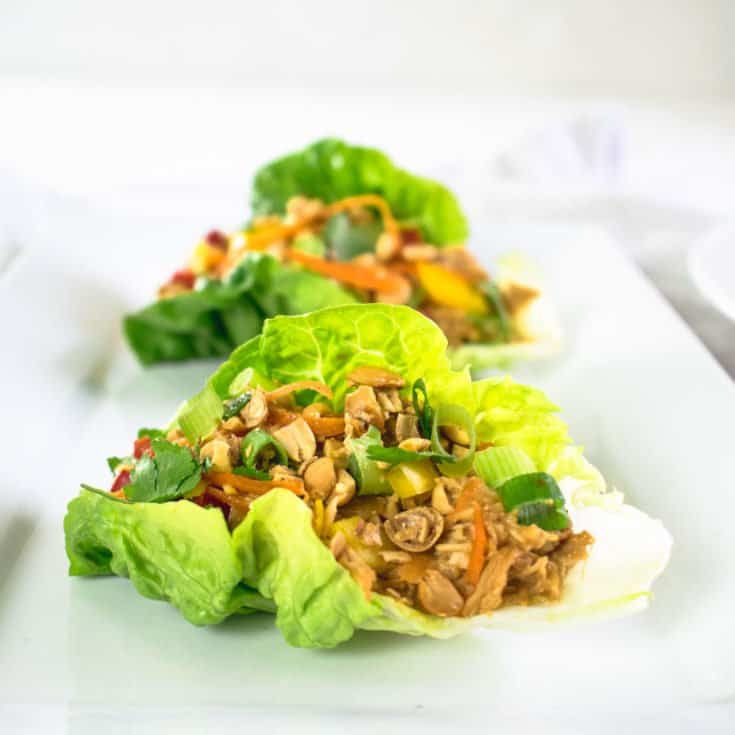 Healthy Slow Cooker Satay Lettuce Wraps