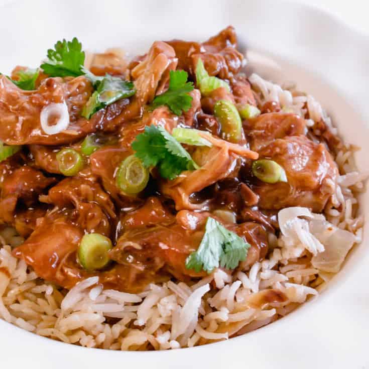 Slow Cooker Sticky Teriyaki Chicken