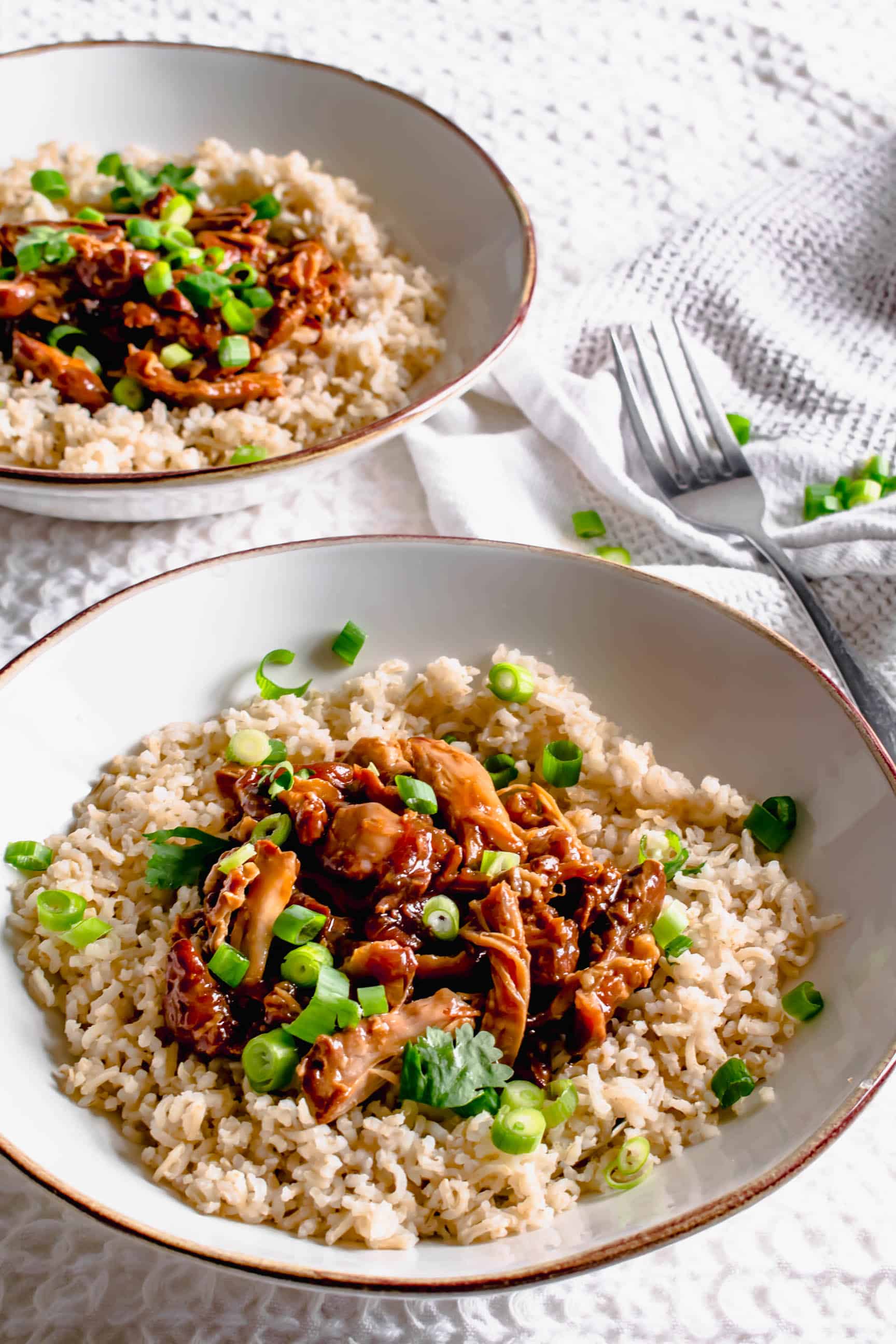 Slow Cooker Teriyaki Chicken Thighs Recipe | Hint Of Helen