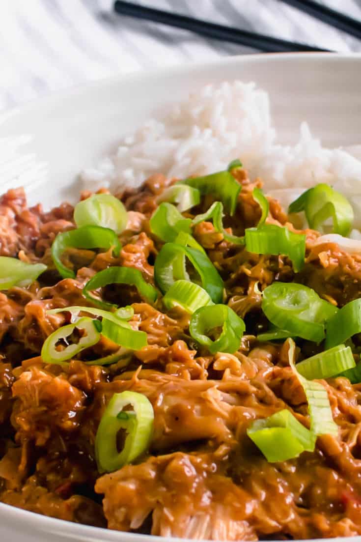 Slow Cooker Chinese Chicken Curry | Hint Of Helen