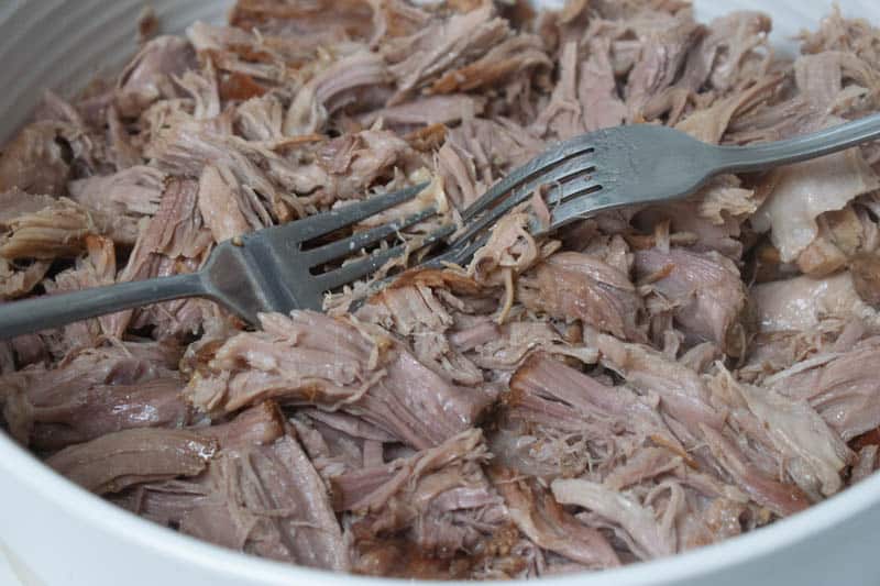 Slow cooker Hoisin Pulled Pork Recipe