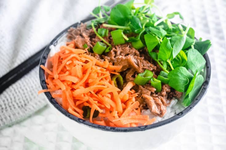 Slow Cooker Donburi Bowl Hint of Helen 18 735x490