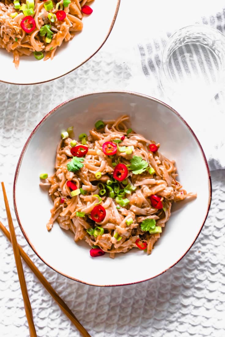 Slow Cooker Chicken Noodles