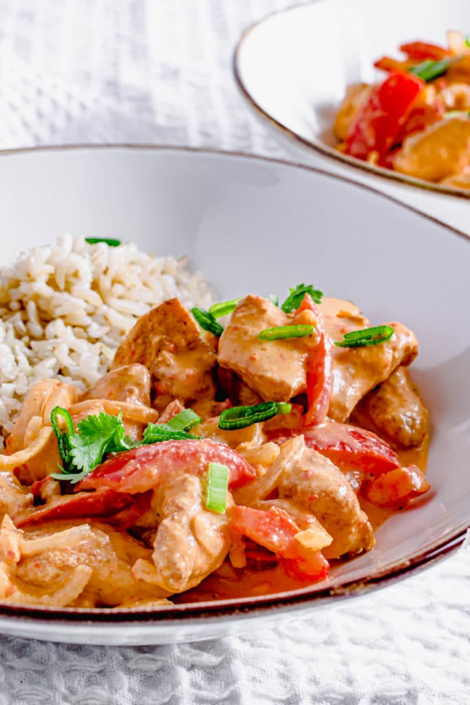 Actifry Thai Red Curry Recipe