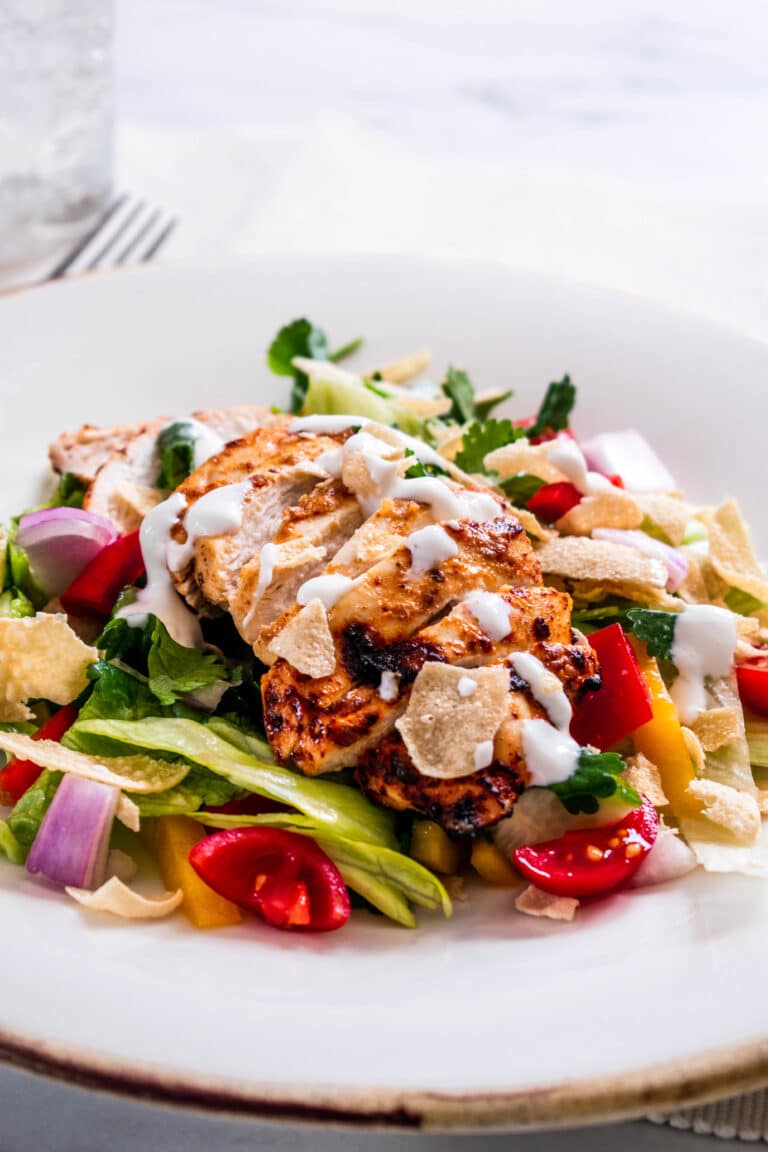 Ninja Dual Air Fryer Recipes | Hint Of Helen