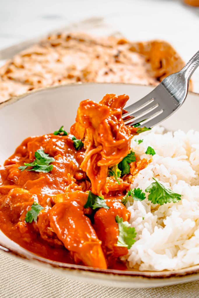 slow cooker chicken thigh curry
