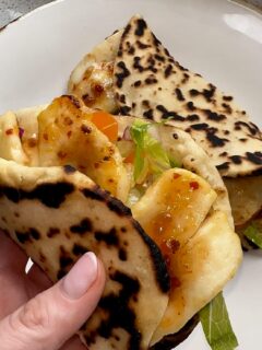 Actifry Halloumi Wrap