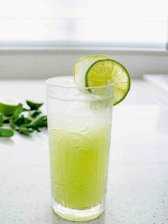 apple lime mint soda recipe