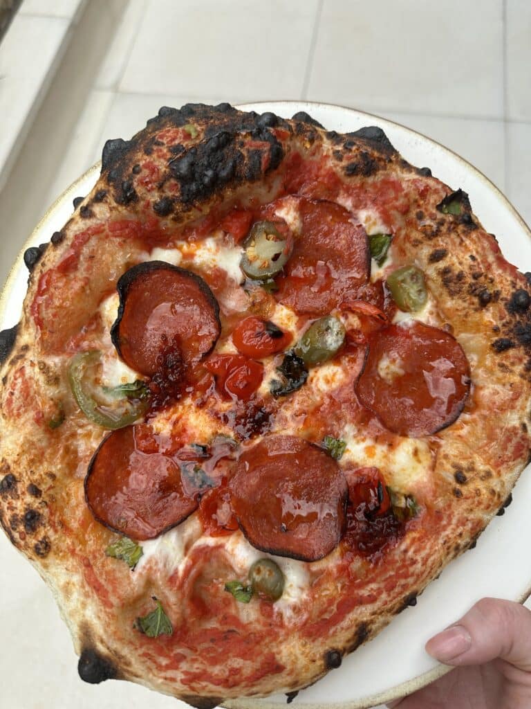 ninja woodfire oven pizza on artisan mode